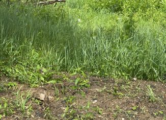 Продам участок, 15 сот., деревня Репихово, деревня Репихово, 56А