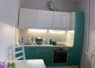 Продается однокомнатная квартира, 38 м2, Новосибирск, Рубиновая улица, 4, Рубиновая улица