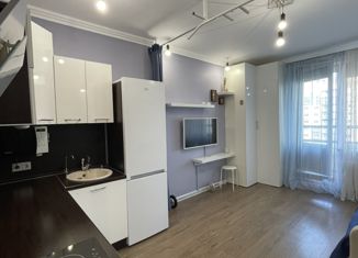 Продается однокомнатная квартира, 24 м2, Мурино, улица Шувалова, 23, ЖК Гринландия-2