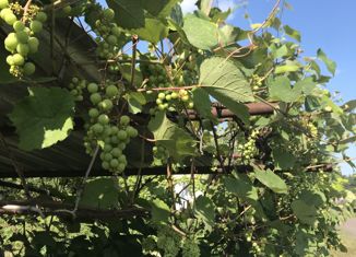 Продам дом, 82 м2, деревня Пасерково