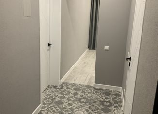 Продаю 1-ком. квартиру, 44.2 м2, Санкт-Петербург, Парашютная улица, 58, ЖК Каменка