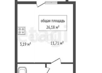 Продажа квартиры студии, 26.18 м2, Новосибирск, Красный проспект, 167к2, ЖК Расцветай на Красном