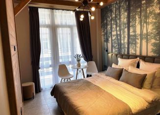 Квартира на продажу студия, 23 м2, село Эсто-Садок, Омеловая улица, 41с1