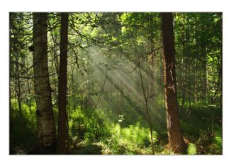 Земельный участок на продажу, 230 сот., деревня Озеро