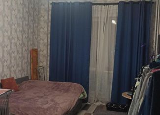 Сдается в аренду квартира студия, 24.2 м2, Новосибирск, Приморская улица, 24/1, Советский район