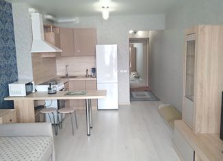 Продается квартира студия, 33 м2, Томск, улица Сергея Вицмана, 37