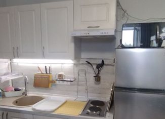 Продажа квартиры студии, 26.6 м2, поселок Поляны, Выборгское шоссе, 49к3