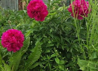 Продам участок, 5.05 сот., деревня Подымалово, Лесная улица