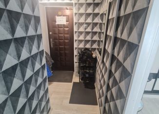 Продается 3-ком. квартира, 42 м2, Большой Камень, улица Адмирала Макарова, 4