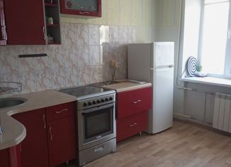 Продажа 1-комнатной квартиры, 35.5 м2, Нижегородская область, улица Васнецова, 19
