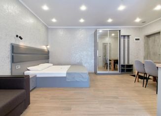 Продажа квартиры студии, 35 м2, село Эстосадок, Берёзовая улица, 28/1