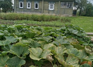 Продам дом, 48 м2, село Молоди, Набережная улица, 14