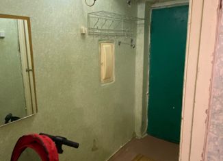1-комнатная квартира на продажу, 30 м2, Оренбургская область, посёлок Новая Биофабрика, 71