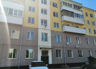 Продам двухкомнатную квартиру, 54.8 м2, рабочий поселок Ишеевка, Новокомбинатовская улица, 4А