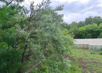 Продам участок, 10 сот., село Власиха, улица Мамонтова, 30