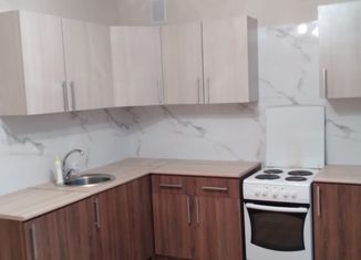 Продам 1-комнатную квартиру, 53 м2, Бердск, Салаирская улица, 1