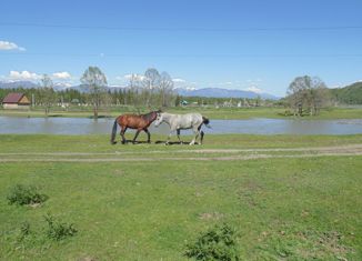 Продам земельный участок, 65 сот., село Верх-Уймон, Молодёжная улица