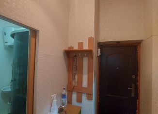 Продается 1-ком. квартира, 25.8 м2, посёлок Орлов Лог, 2-й Орловлогский переулок, 9