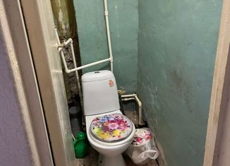 Продается трехкомнатная квартира, 50.7 м2, село Горняк, Новая улица, 29