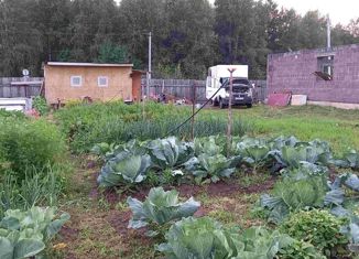 Продается участок, 17 сот., посёлок Евстюниха, Дачная улица, 50