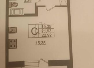 Продам однокомнатную квартиру, 23 м2, Мурино, Воронцовский бульвар, 16к1, ЖК Краски Лета