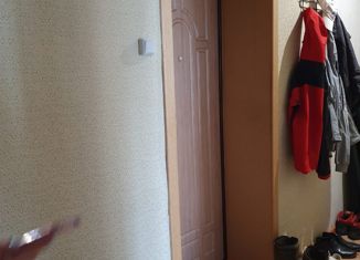 Продается двухкомнатная квартира, 50.4 м2, село Лопатино, Юбилейная улица, 24