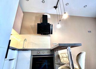 Продажа квартиры студии, 24 м2, деревня Кисловка, улица Левитана, 5