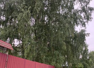 Продажа дома, 99.7 м2, село Новые Ключищи, Лесная улица, 4