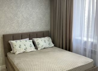 Квартира на продажу студия, 23.3 м2, Невинномысск, Революционная улица, 262Б