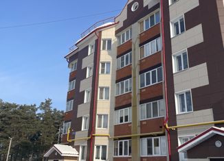 1-ком. квартира на продажу, 30.1 м2, село Габишево, Северная улица, 4