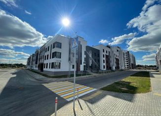 Продам 1-комнатную квартиру, 38 м2, деревня Борисовка, жилой квартал Новая Щербинка, к12