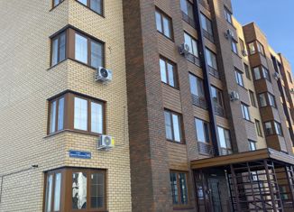 Продажа однокомнатной квартиры, 32.6 м2, село Осиновая Гора, улица Аркадия Шипунова, 46