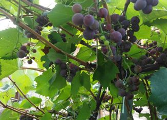 Продам участок, 25 сот., село Буриказганово, Молодёжная улица