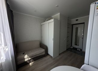 Однокомнатная квартира на продажу, 14 м2, Казань, улица Гарифьянова, 25, Приволжский район