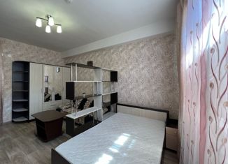 Продам 1-комнатную квартиру, 42.9 м2, село Орёл-Изумруд, Петрозаводская улица, 26А/1