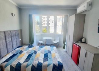 Продам 1-комнатную квартиру, 18 м2, село Агой, гостиничный комплекс Радуга, 10Б