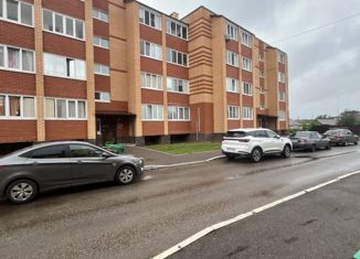 1-комнатная квартира на продажу, 26.5 м2, село Дмитриевка, Яблоневая улица, 32