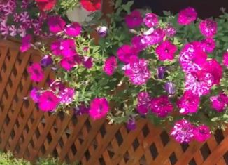 Продаю дом, 50 м2, посёлок Аять, Центральная улица