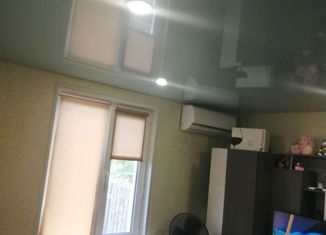 Продаю 3-ком. квартиру, 56 м2, село Рамено, Новостроящаяся улица, 4