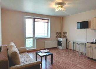 Продается квартира студия, 24.6 м2, посёлок Западный, улица Вишнёвая Аллея, 3