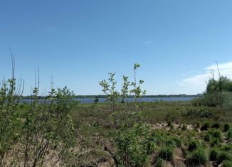 Земельный участок на продажу, 30 сот., деревня Гамы, Советская улица