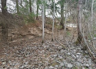 Продаю земельный участок, 16 сот., деревня Дыбки