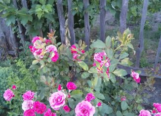 Продается земельный участок, 8 сот., посёлок Красный Текстильщик, Базарная улица