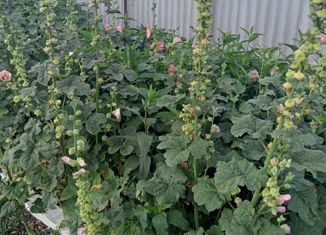 Продажа 4-ком. квартиры, 79.41 м2, село Троицкое, Коммунальная улица, 12