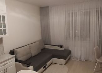 Продажа квартиры студии, 25 м2, село Остафьево, Остафьевское шоссе, 14к2