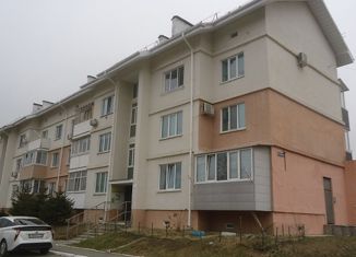 Продажа 1-комнатной квартиры, 41 м2, Артём, Светлогорская улица, 2/1