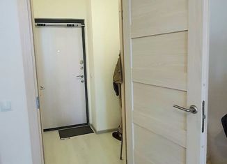 Продаю квартиру студию, 24.7 м2, Санкт-Петербург, Пулковское шоссе, 73к8, Пулковское шоссе