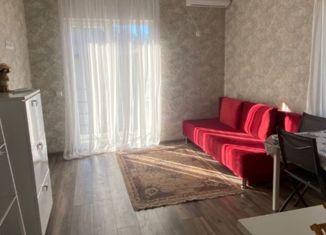 Продаю однокомнатную квартиру, 22 м2, село Орёл-Изумруд, Банановая улица, 167/11