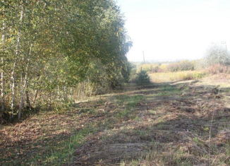 Продажа участка, 13 сот., деревня Байгуши, Центральная улица, 30