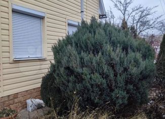 Продажа дома, 56 м2, село Бессергеновка, 2-я аллея